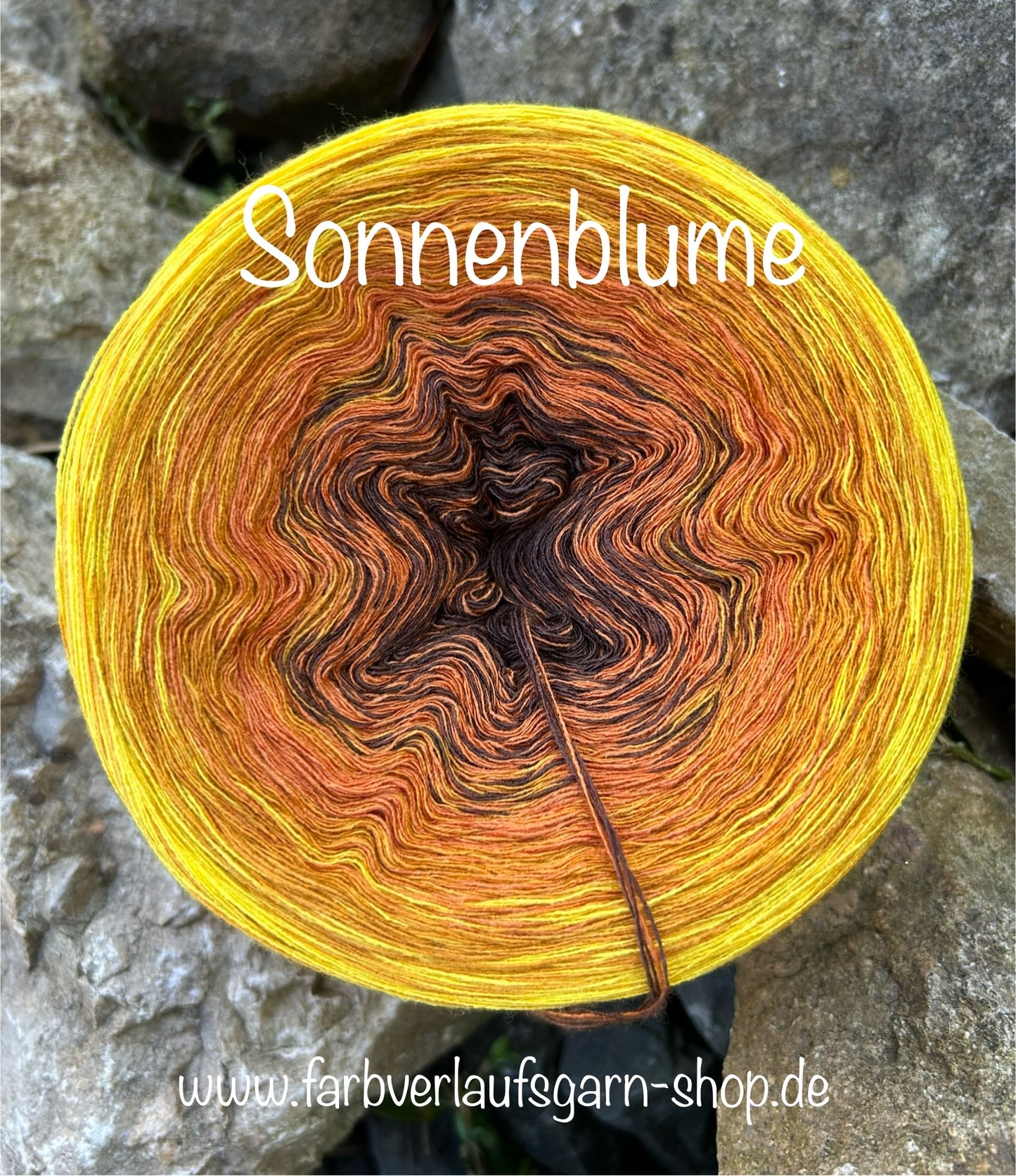 Sonnenblume