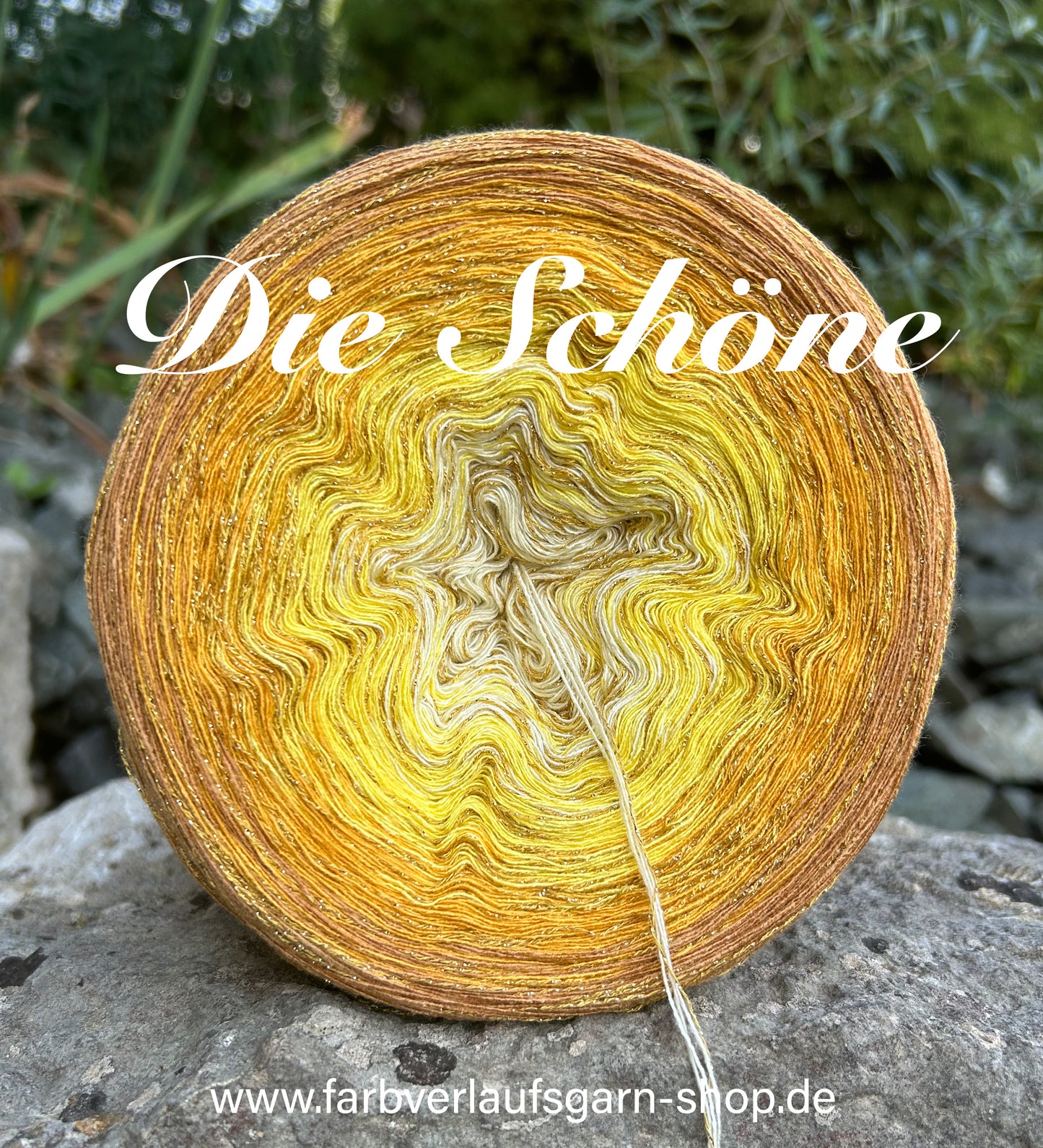 Die Schöne