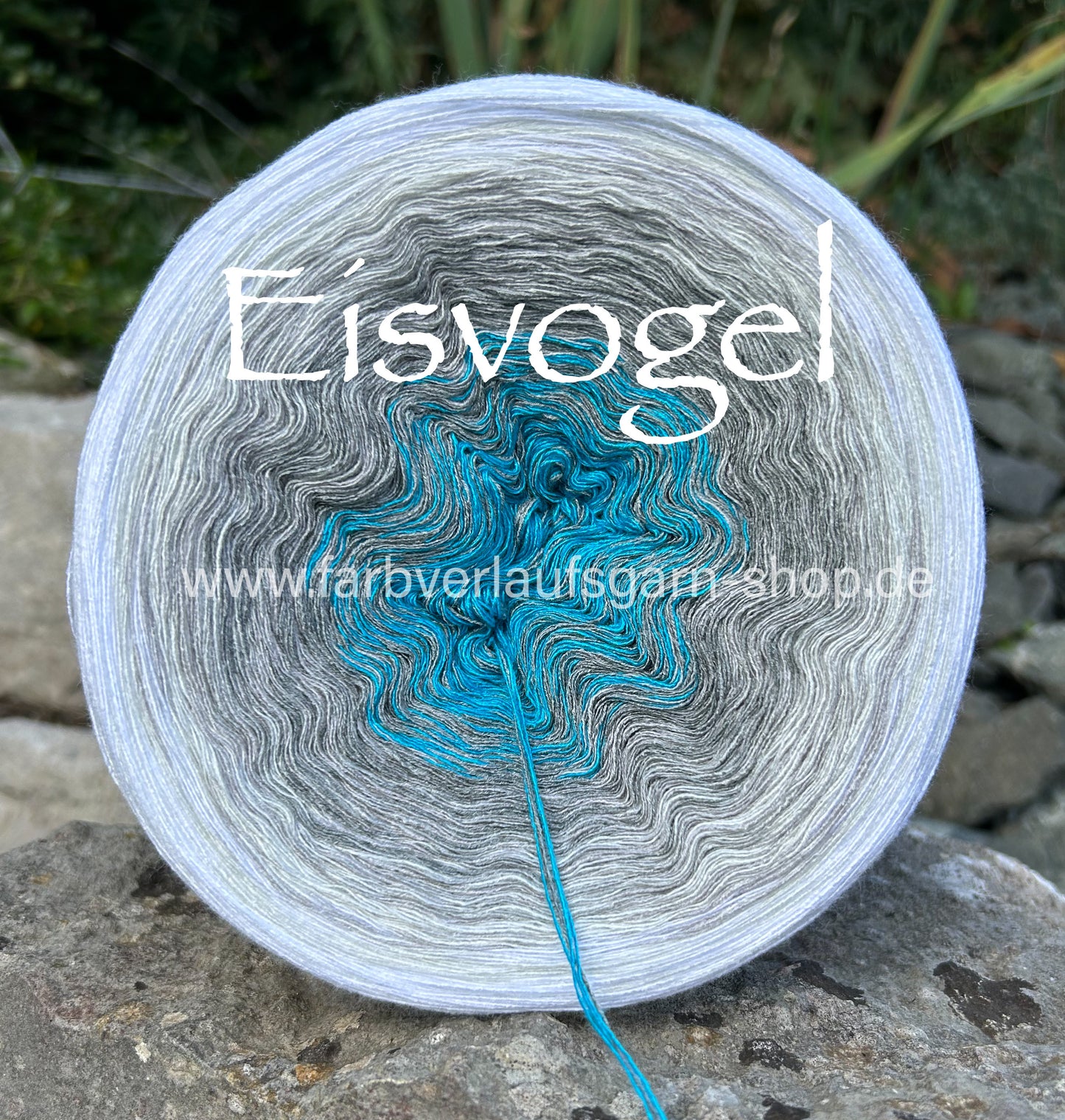 Eisvogel