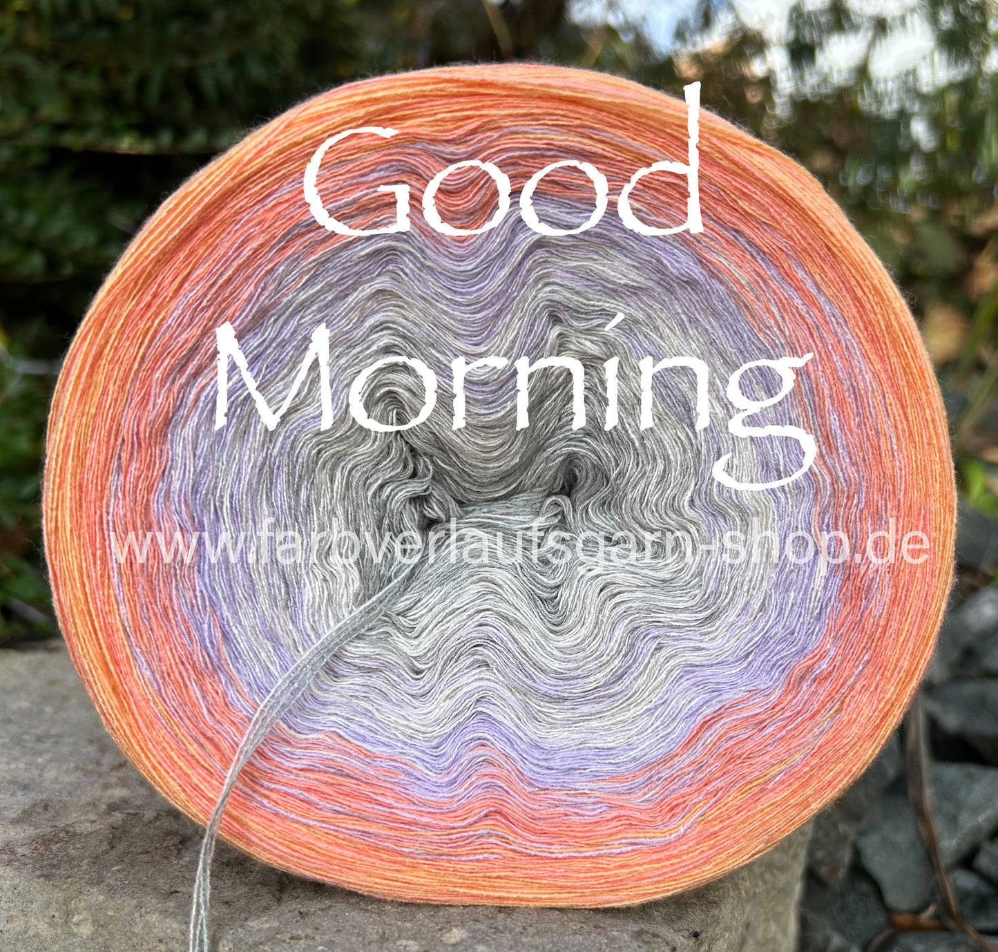 Good Morning