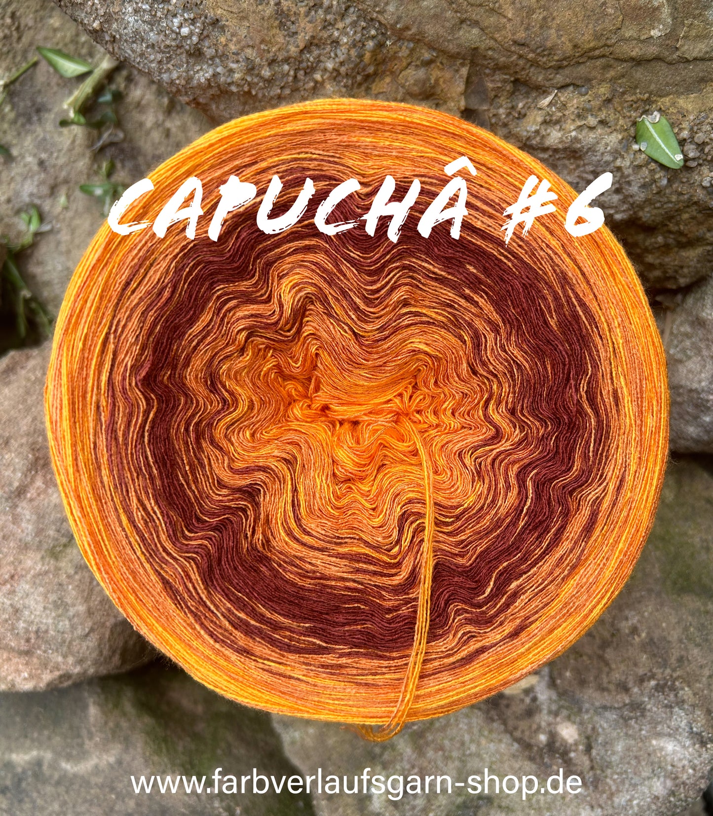 Capuchâ #6