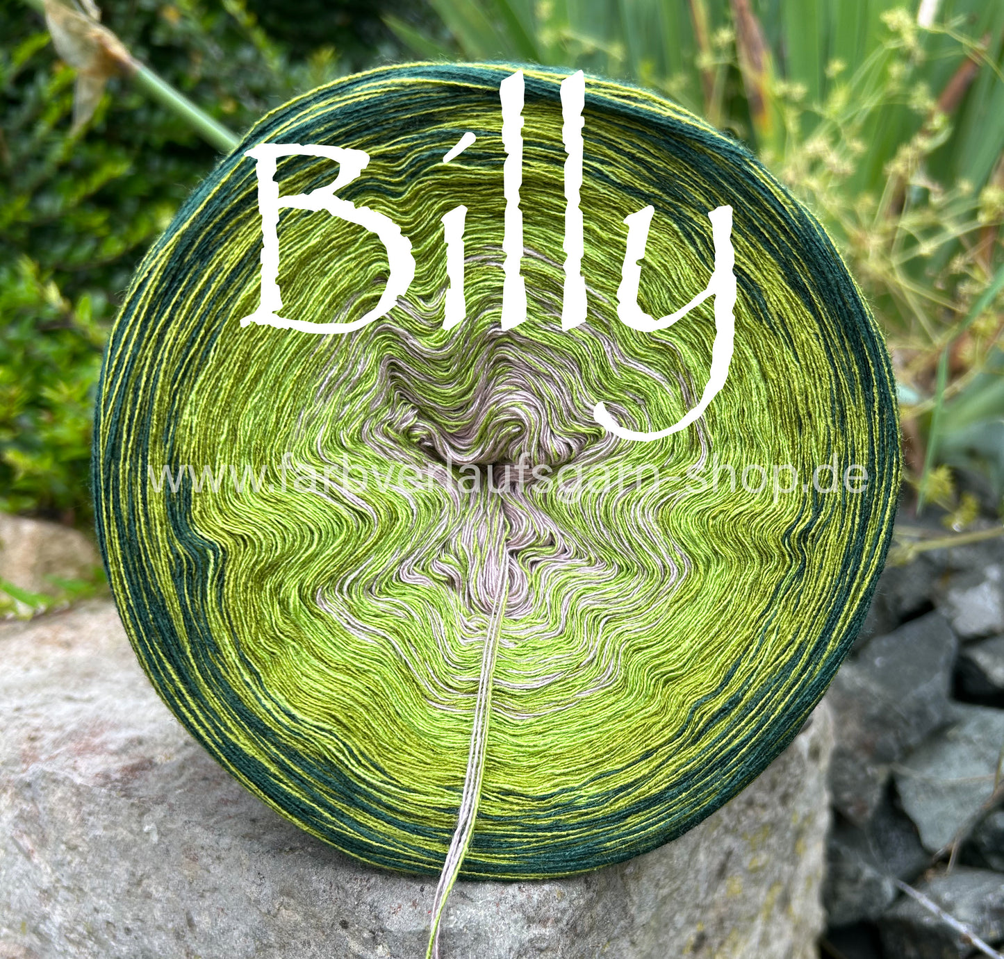 Billy