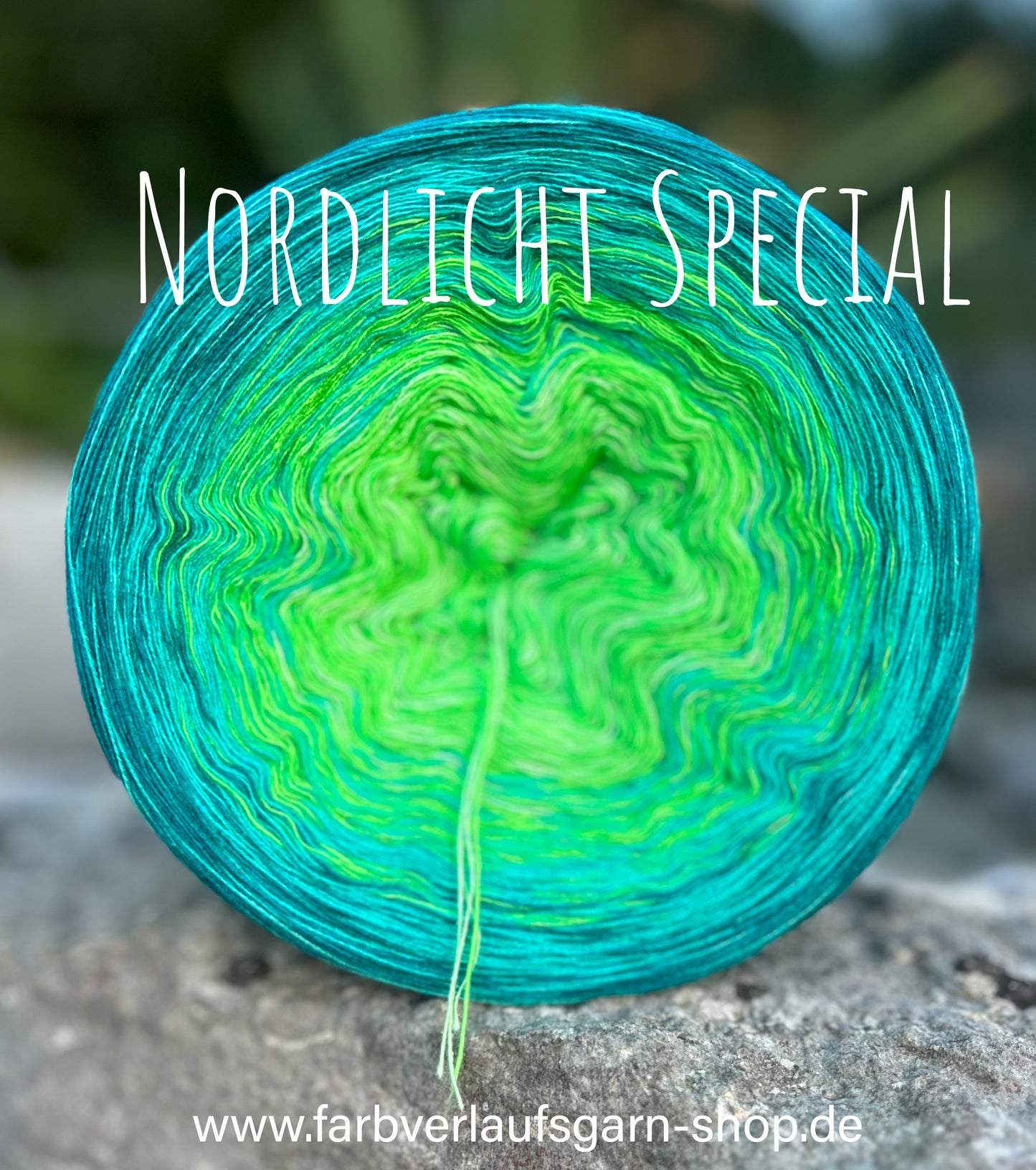 Nordlicht Special