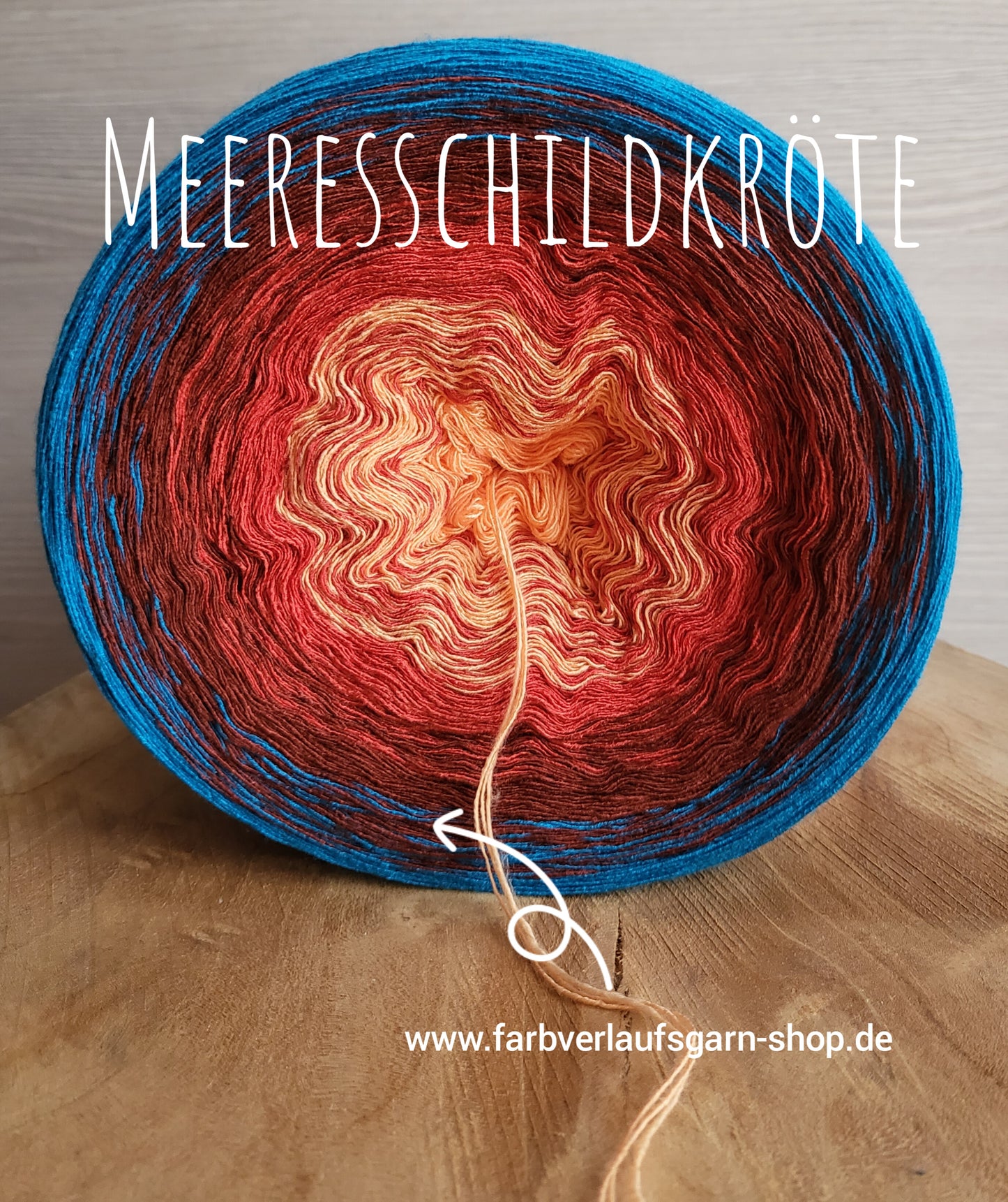 Meeresschildkröte