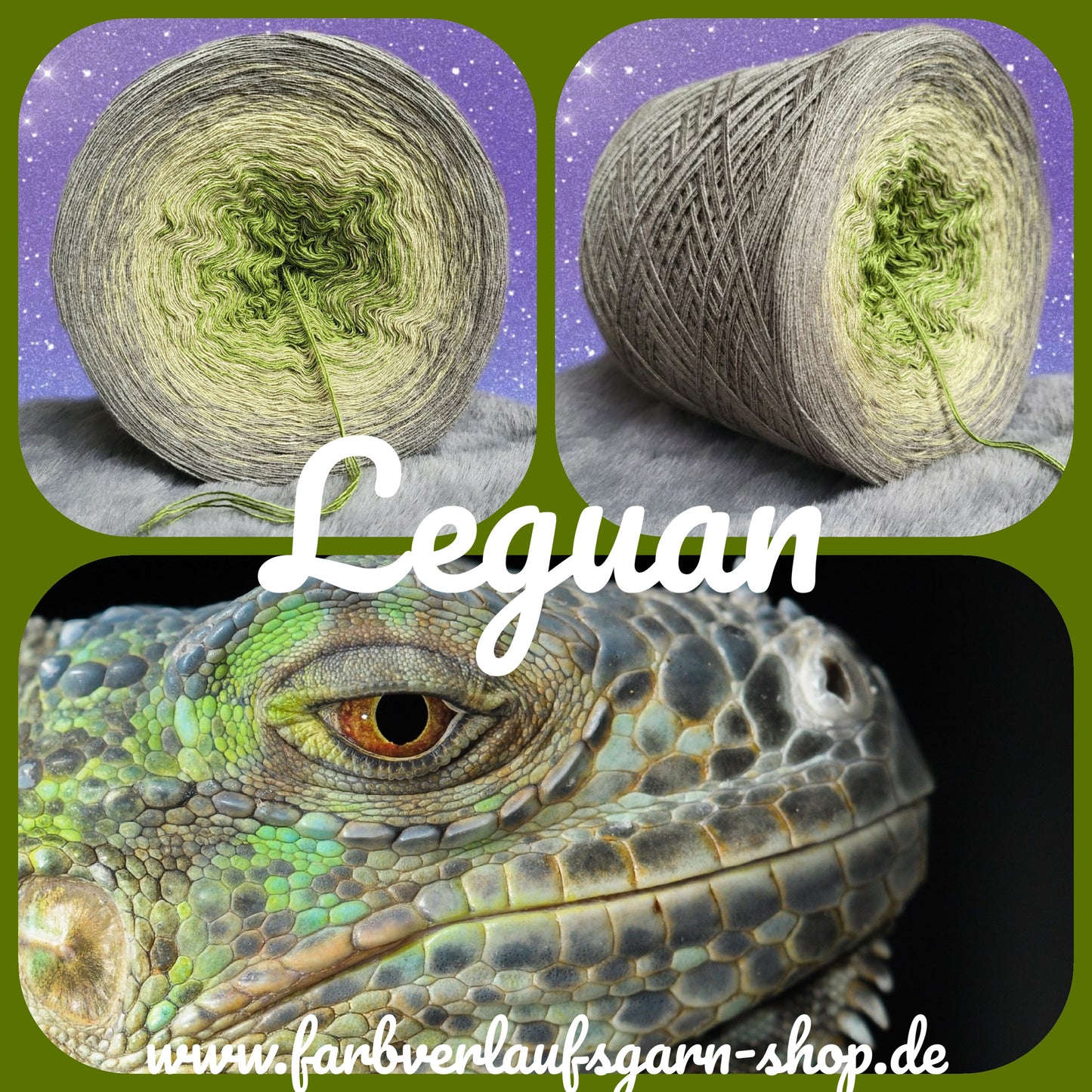 Leguan