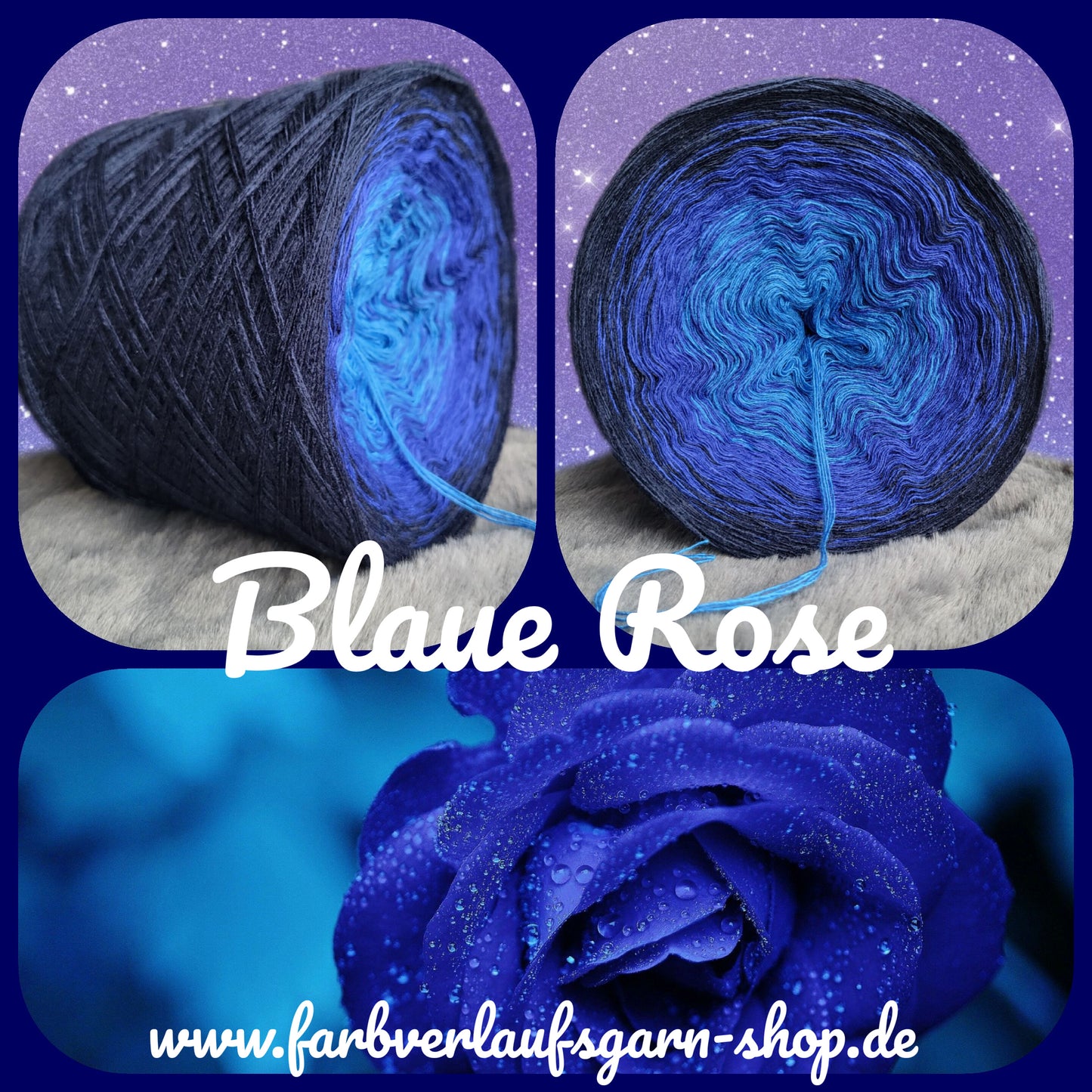 Blaue Rose