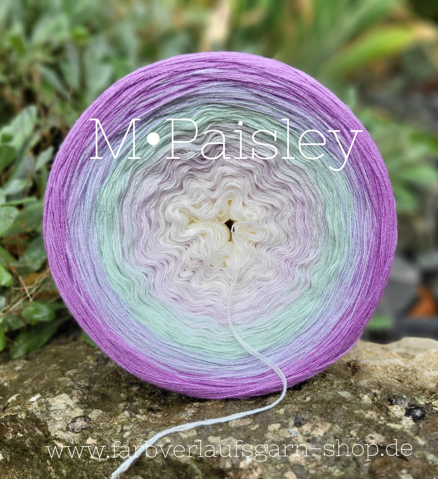 Paisley