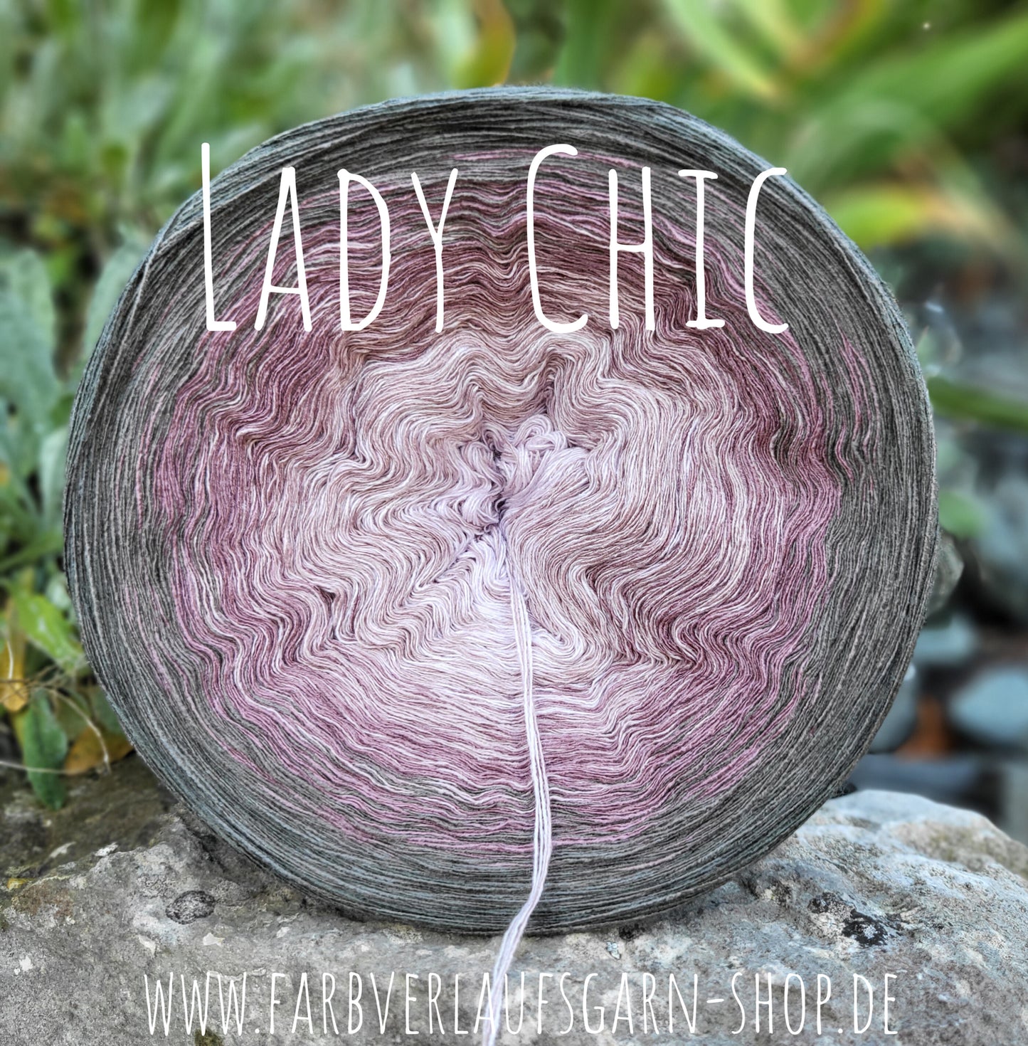 Lady Chic