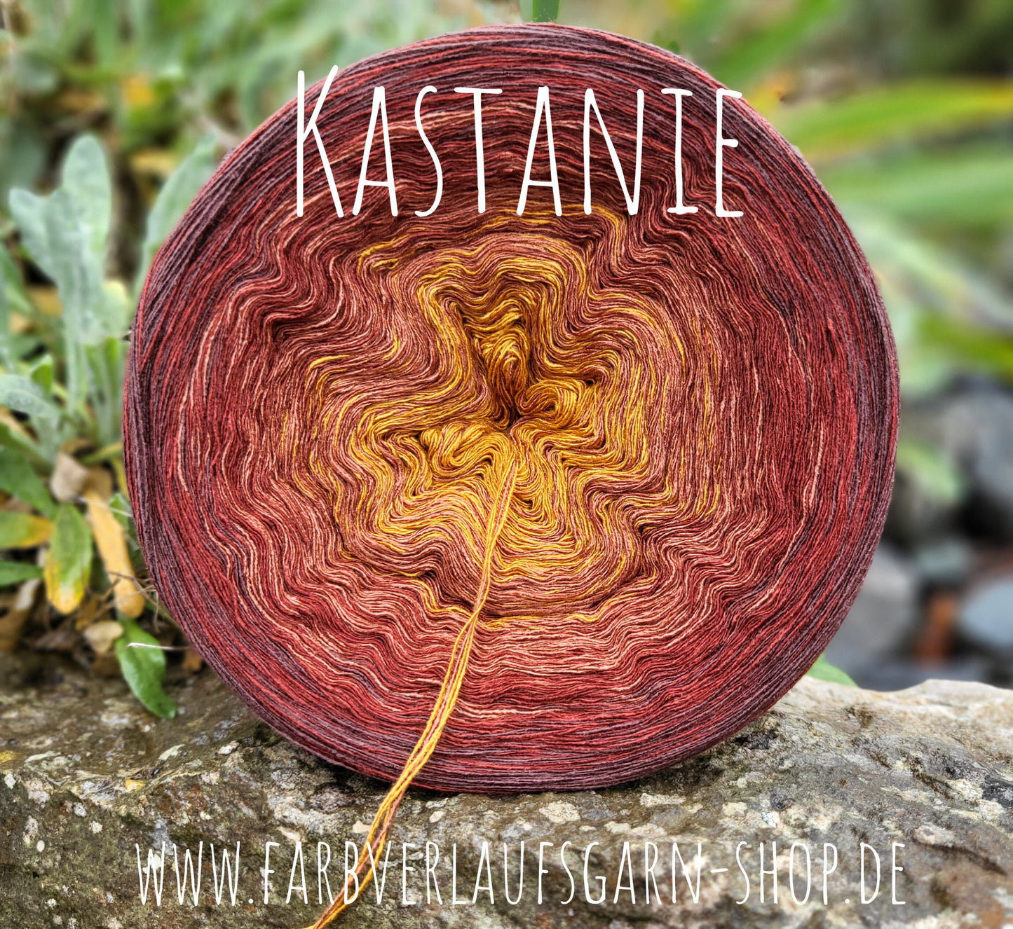 Kastanie