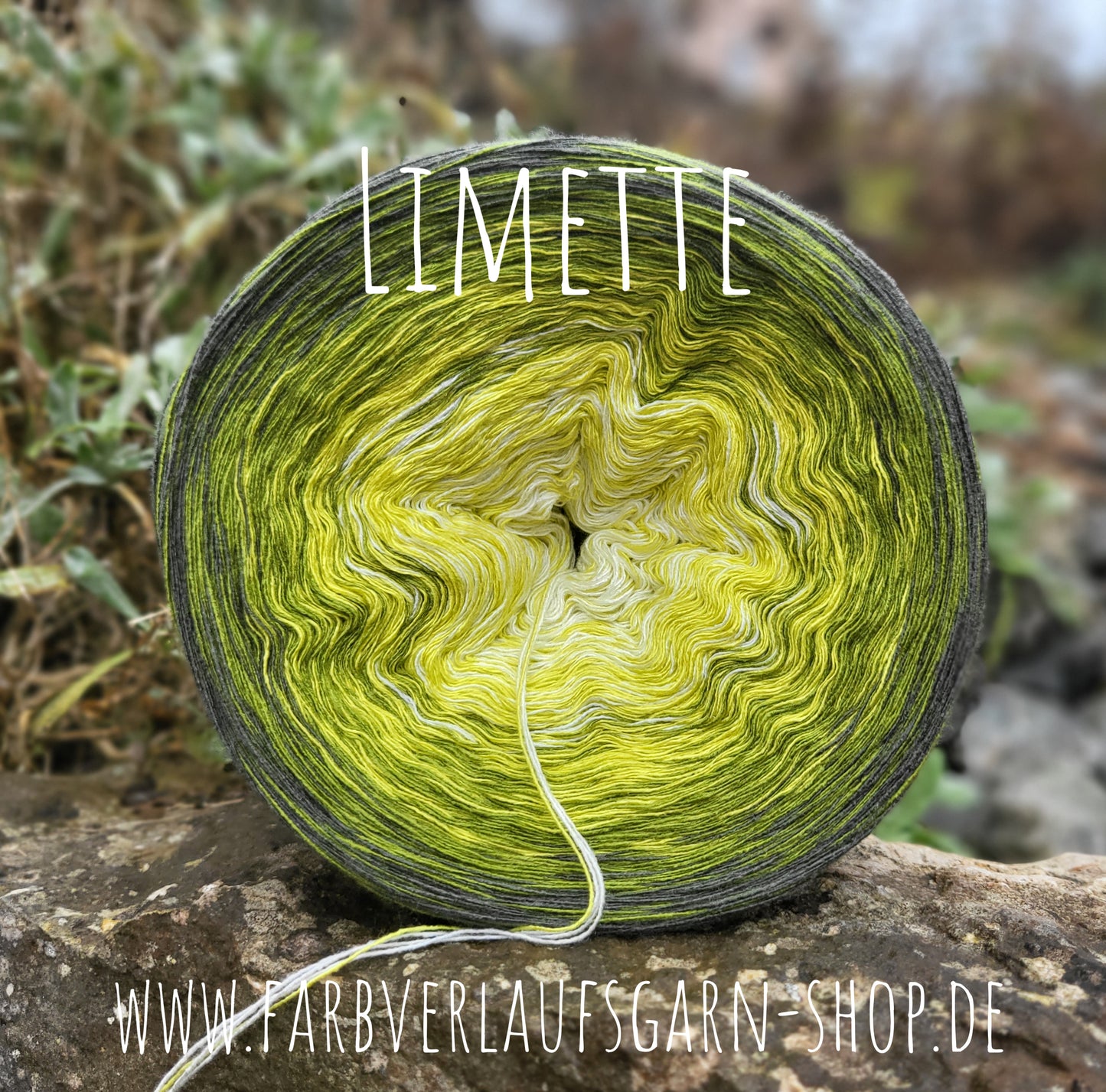 Limette