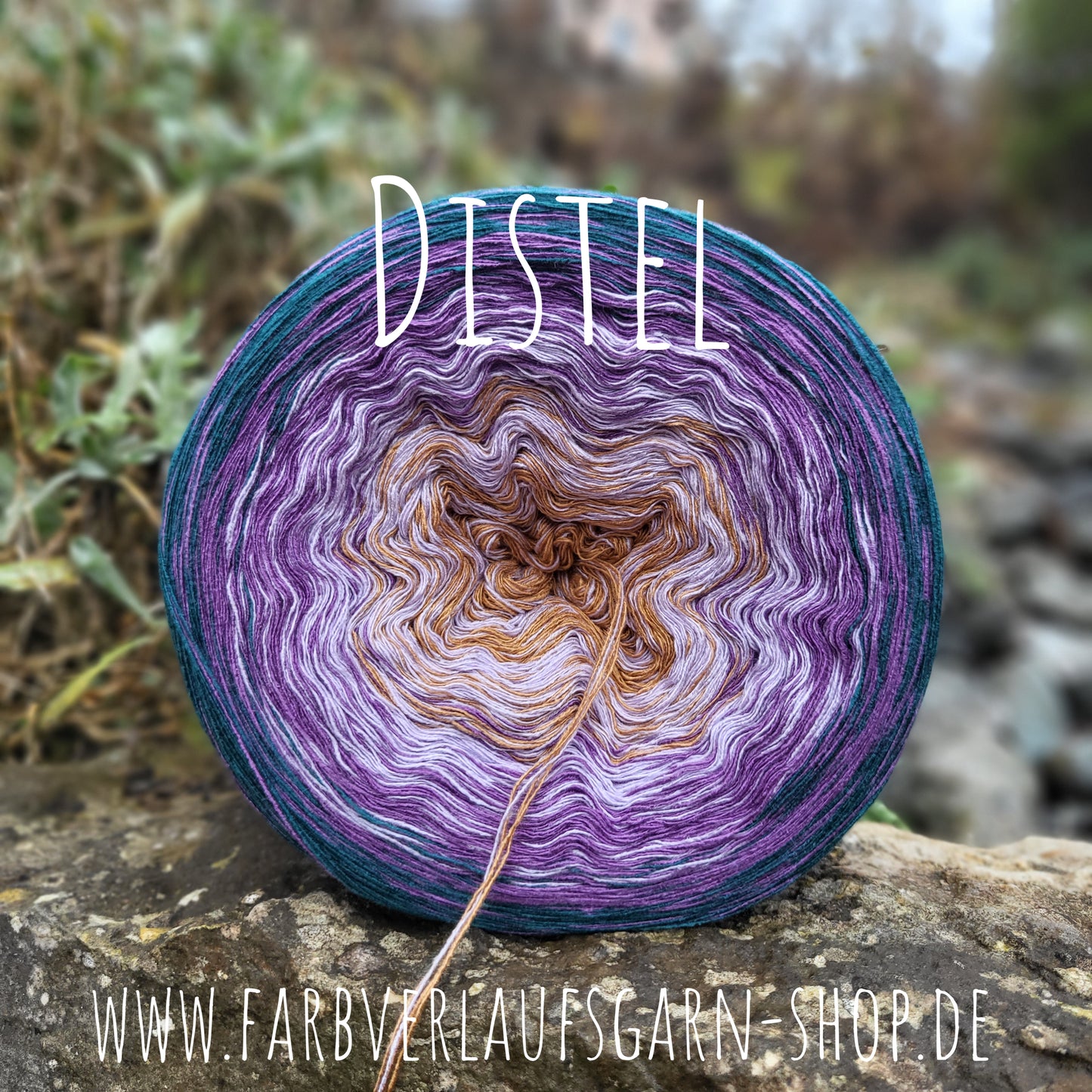 Distel