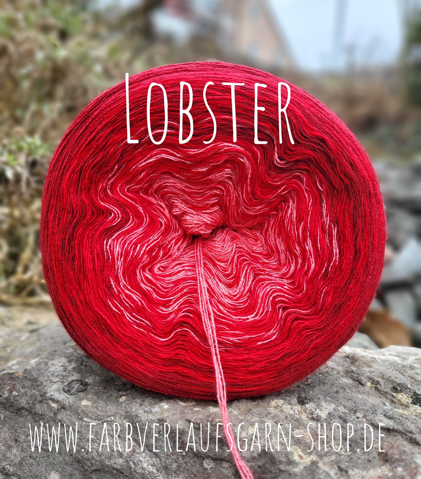 Lobster