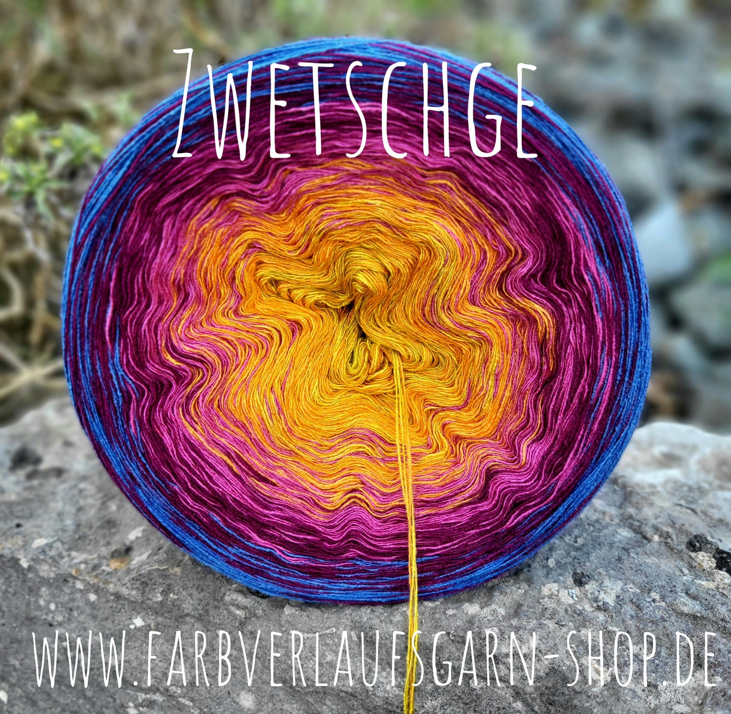 Zwetschge