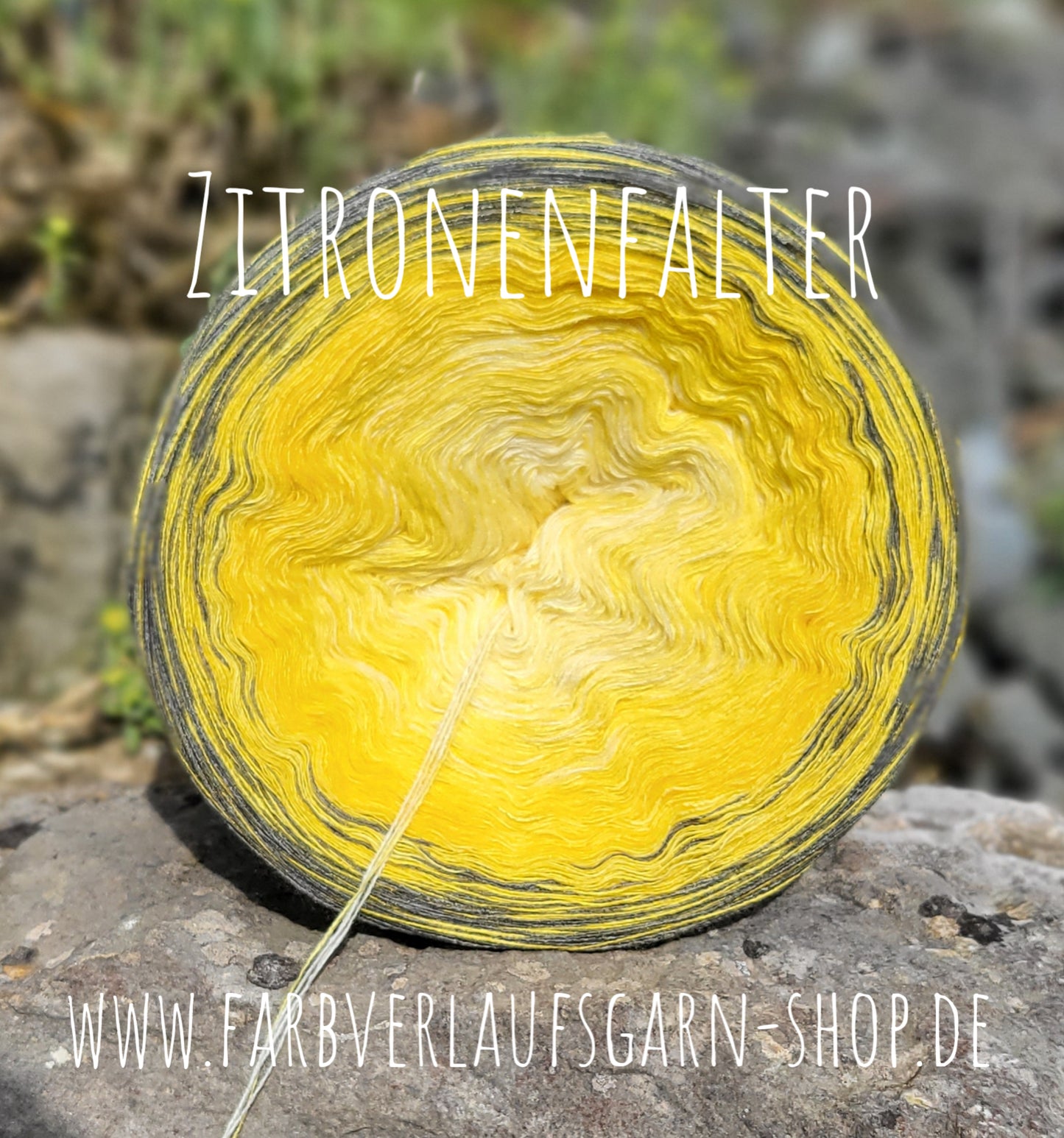 Zitronenfalter