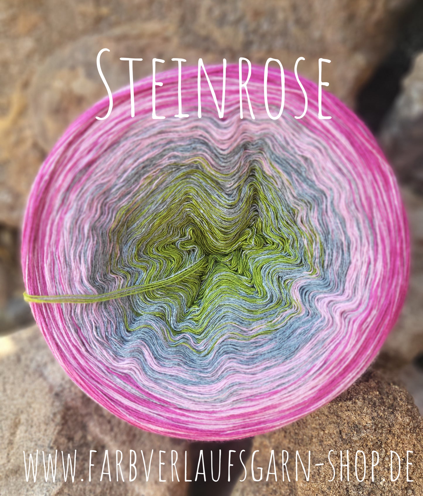 Steinrose