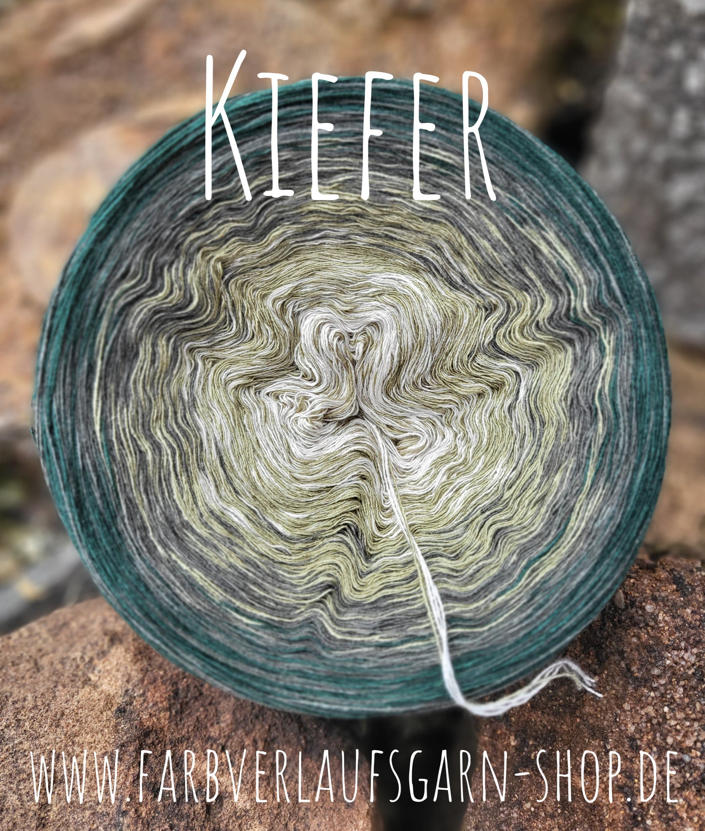 Kiefer