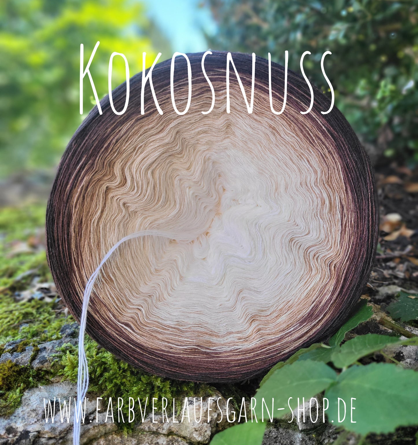 Kokosnuss