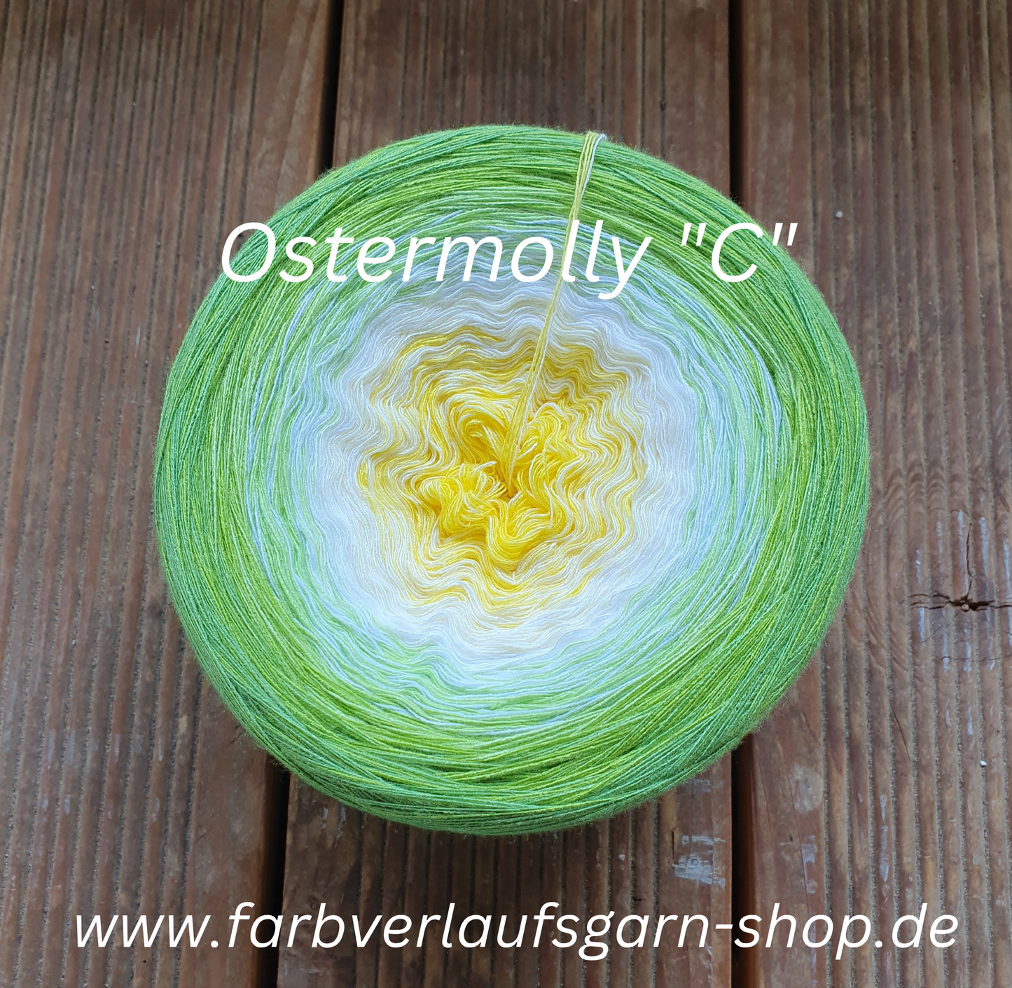MO Ostermolly "C"