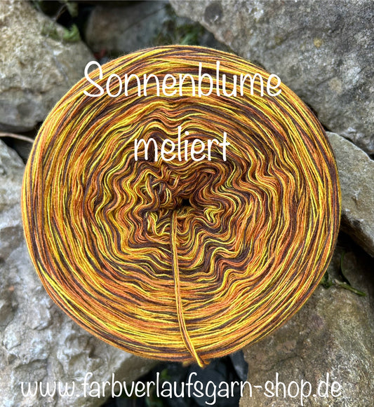 Sonnenblume meliert