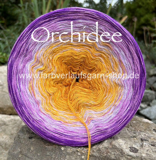 Orchidee