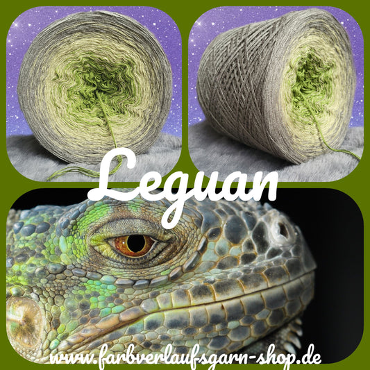 iguana