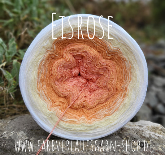 Eisrose